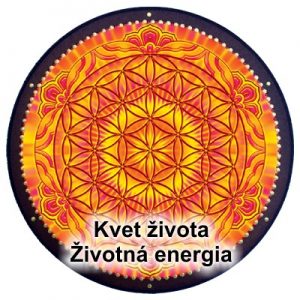 životná energia